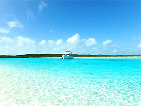 �o�n�}�֍s�����s�v�����̃T���l�C��