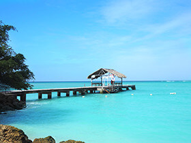 �g���j�_�[�h�E�g�o�S�֍s�����s�v�����̃T���l�C��