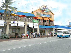 �P�C�}�������֍s�����s�v�����̃T���l�C��